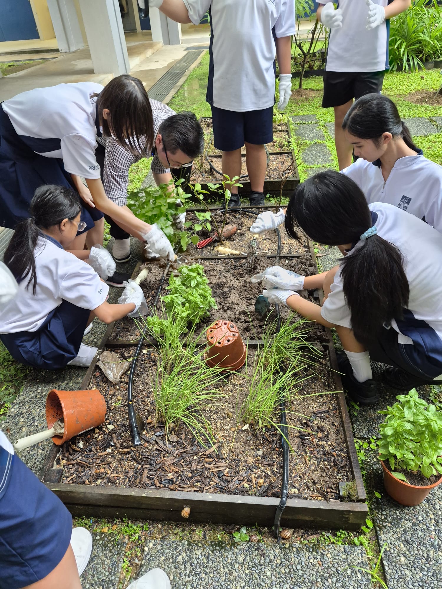 Members planting at Spice Garden.